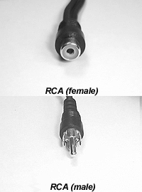146501_CABLE_TECHNOLOGY_V8110.gif-AUDIO_CABLE_RCA_F_TO_RCA_10FT