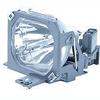 693207_INFOCUS_LAMP031.jpg-REPLACEMENT_LAMP_FOR