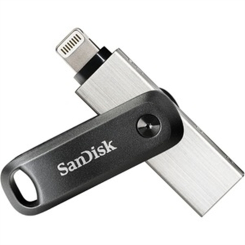 4237512_SANDISK_SDIX60N128GAN6NE.jpg-