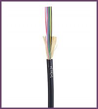1439514_HITACHI_6145924.jpg-