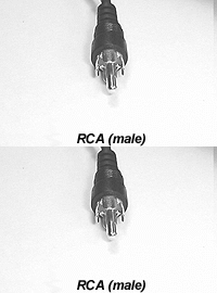 146520_CABLE_TECHNOLOGY_V7910.gif-AUDIO_CABLE_RCA_TO_RCA_10FT