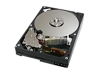 1006422_CMS_V2RT250.jpg-250GB_DRIVE_RAID_TRAY_WITH_250GB_DRIVE