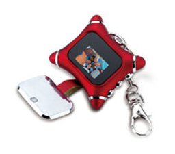1374225_GENIUS_32420013101.jpg-DIGITAL_PHOTO_KEYCHAIN