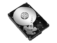 969530_SEAGATE_ST3250820NS.jpg-