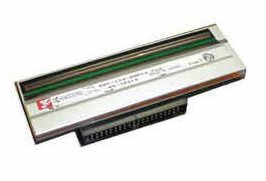 1394631_ZEBRA_G790561M.jpg-