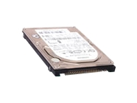 729531_CMS_DELLD600600M54.jpg-60GB_5400_RPM_2.5IN_NOTEBOOK_HARD_DISK_DRIVE_HDD_DELL_D500_600