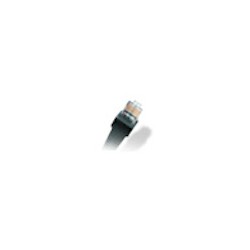 824633_INFORMATICS_WASP_633808550073.jpg-WASPTIME_POE_OPTION