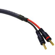 838635_CABLES_TO_GO_29176.jpg-CABLES_TO_GO_10FT_VELOCITY_SPEAKER_CABLE