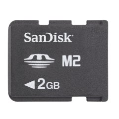 1372337_SANDISK_SDMSM2002GA11M.jpg-MEMORY_STICK_MICRO_M2_2GB_NO