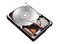 879141_MAXTOR_6V250F0.jpg-250GB_7200RPM_16MB_3GB_SATA_2_3YR_WARRANTY_ROHS