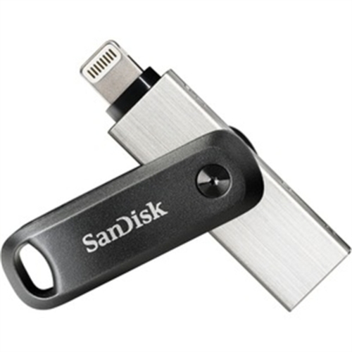 4237444_SANDISK_SDIX60N256GAN6NE.jpg-