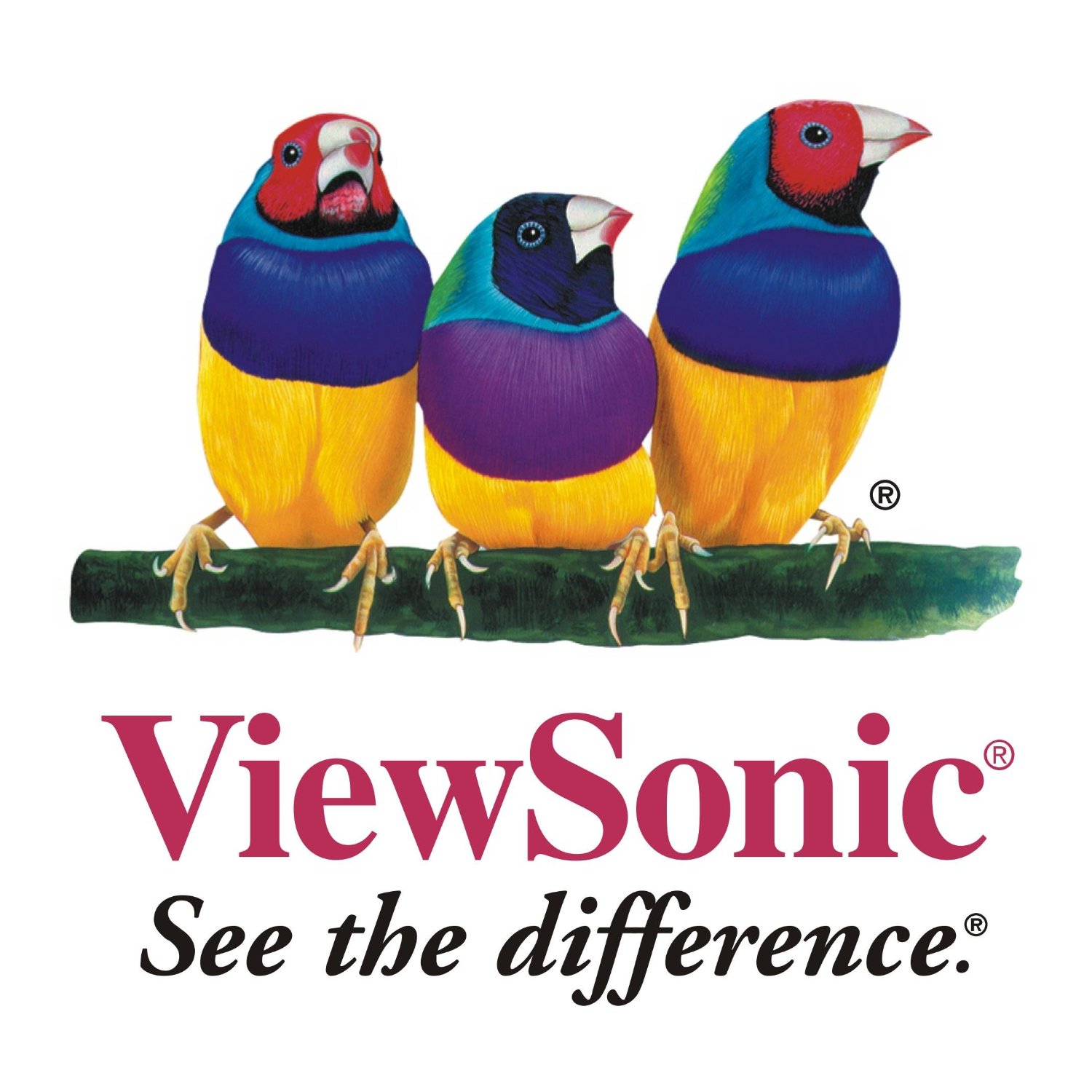 2369248_VIEWSONIC_C00011294.jpg-