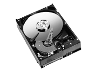 1013249_WESTERN_DIGITAL_WD3200AAJS20PK.jpg-20PK_320GB_7200RPM_8MB_SATA_II_3.5_EIDE
