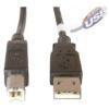 730154_D_LINK_DUBC2AB.jpg-6FT_USB_2.0_A_USB_A_TO_USB_CABLE