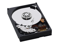 1067559_WESTERN_DIGITAL_WD3200AAKB.jpg-320GB_EIDE_7200_RPM_16MB_3.5IN_ATA_100