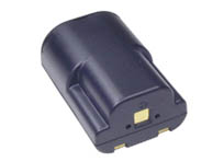 812961_LENMAR_DMC50.jpg-NOMEM_NIMH_CANON_NB_6V_700MAH