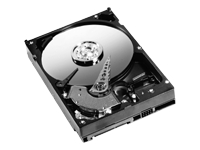 1009462_WESTERN_DIGITAL_WD800AAJS20PK.jpg-20PK_SATA_II_7200_RPM_800_DRIVES