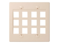 1121766_BELKIN_F4E46912IV.jpg-12PORT_IVORY_DOUBLE_FACEPLATE