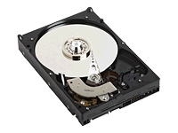 886168_WESTERN_DIGITAL_WD1600JSRTL.jpg-160_INTERNAL_HARD_DRIVE_RETAIL_SATA_II_7200_RPM
