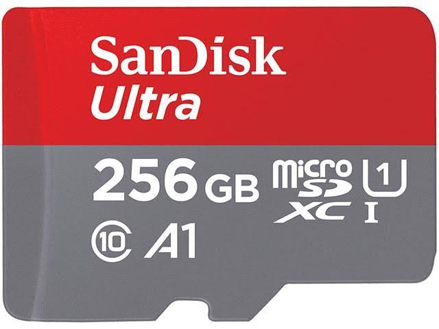 4921469_SANDISK_SDSQUA4256GGN6FA.jpg-