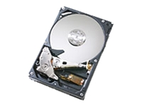 1003173_HITACHI_0A33435.jpg-320GB_7200RPM_16MB_BUFFER_SERIAL_ATA_II_300_3.5INCH