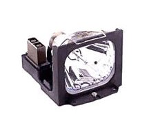 1350181_E_REPLACEMENTS_TLPL6.jpg-PROJ_LAMP_FOR_TOSHIBA