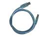 82783_BELKIN_F3U13310CBL.jpg-10FT_USB_CABLE_A_20_28_CLEAR_BLUE