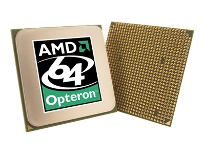 1274085_IBM_44R4951.jpg-OPTERON_DC_PROCESSOR