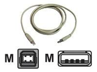 1586487_ZEBRA_300283002.jpg-