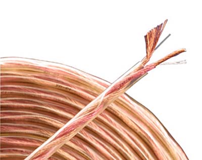 803387_MONSTER_103187.jpg-100_SPEAKER_CABLE