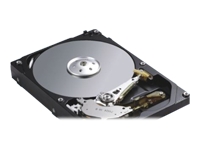 1372392_EXCELSTOR_ESJ9250S.jpg-3.5_250GB_8MB_7200RPM_SATA