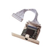 1455193_ZEBRA_79823.jpg-