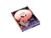 792593_WESTERN_DIGITAL_WD400JD20PK.jpg-40GB_20PK_7200_RPM_SATA_INTERNAL_HARD_DISK_DRIVE_HDD