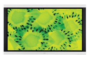 1371194_NEC_P42XC10.jpg-42IN_PLASMA_DISPLAY