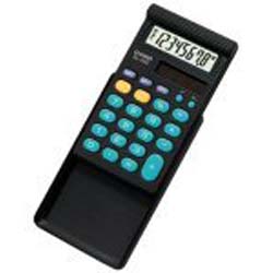 743198_CASIO_SL450TP.jpg-CASIO_10_BASIC_SLR